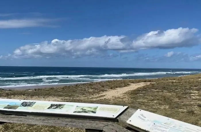 Côté Dune à 600m De L'océan Apartamento Mimizan-Plage